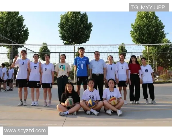 深圳排球队在杯赛中的精彩表现与实力分析