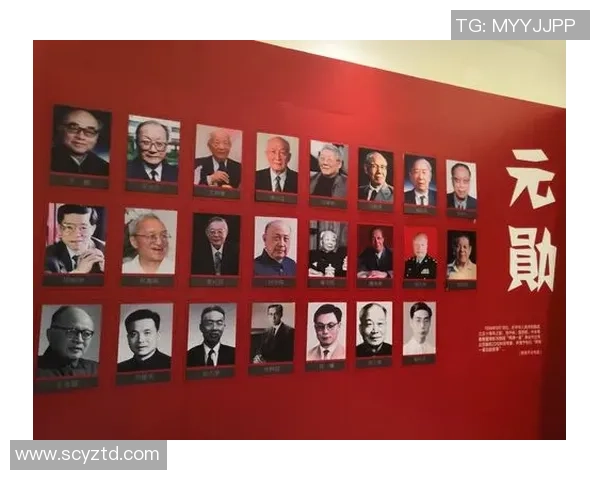 信尔足球明星的荣耀之路与背后的奋斗故事